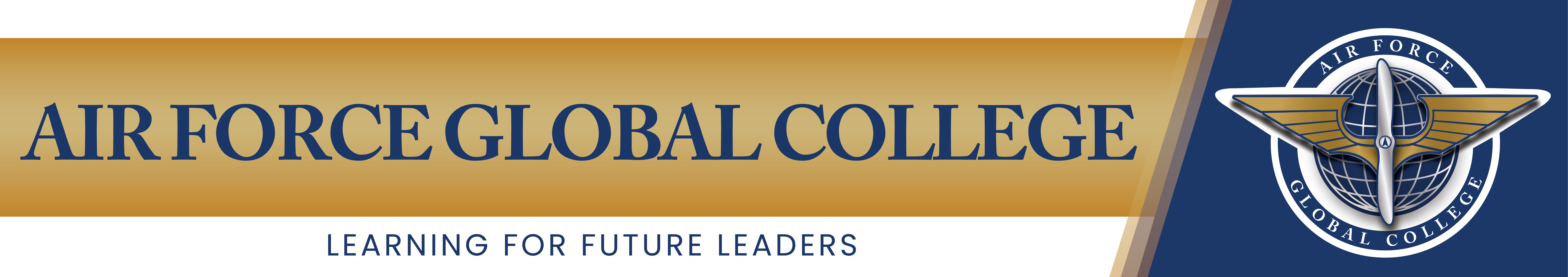 Air Force Global College